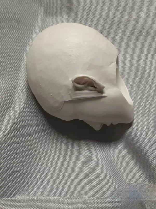 TDRH Studio Product Photo