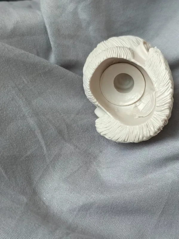 TDRH Studio Product Photo