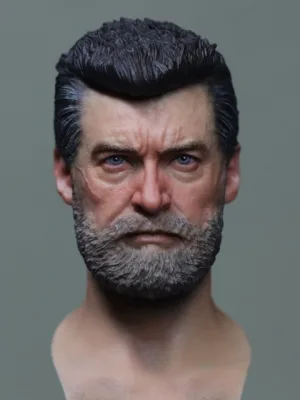 Pre-Sale Old Wolverine 1/6 Scale Hand-Painted Head Sculpture
