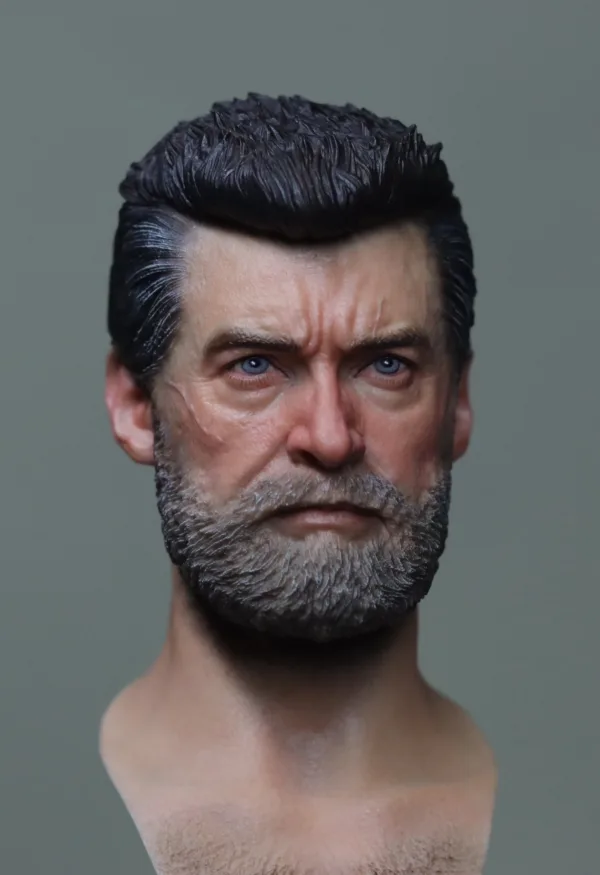Pre-Sale Old Wolverine 1/6 Scale Hand-Painted Head Sculpture