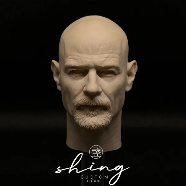 Bryan Cranston - 1/6 Scale Unpainted Action Figure Head Sculpt