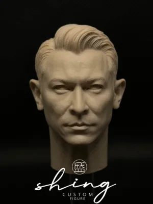 刘德华 Andy Lau - 1/6 Scale Unpainted Action Figure Head Sculpt