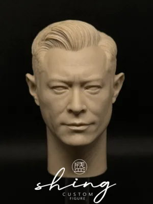 古天乐 Louis Koo - 1/6 Scale Unpainted Action Figure Head Sculpt