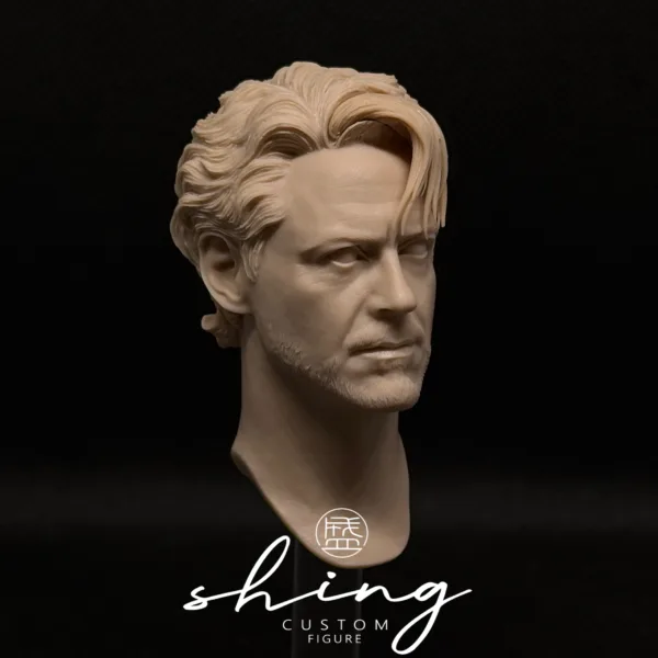 Tony Stark Ironman - 1/6 Scale Unpainted Action Figure Head Sculpt
