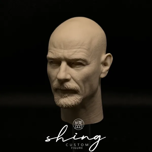 Bryan Cranston - 1/6 Scale Unpainted Action Figure Head Sculpt