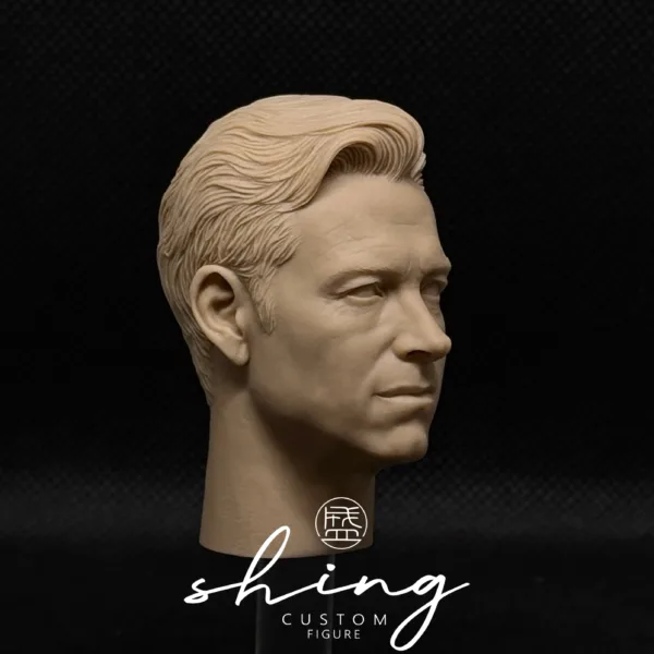 The Homelander - 1/6 Scale Unpainted Action Figure Head Sculpt