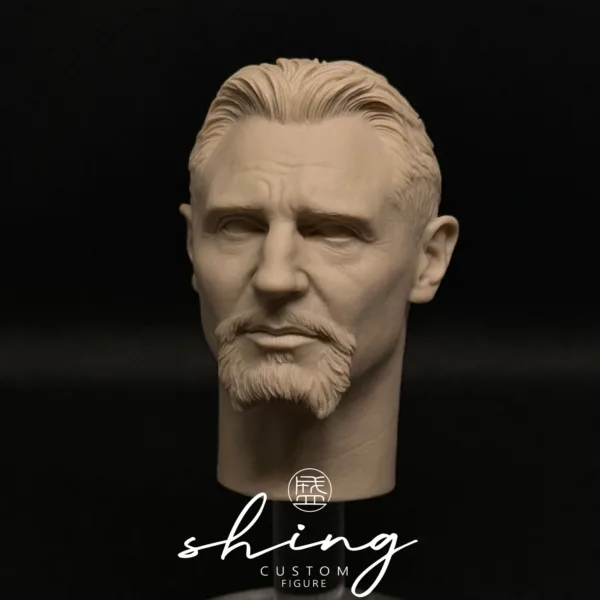 Liam Neeson - 1/6 Scale Unpainted Action Figure Head Sculpt