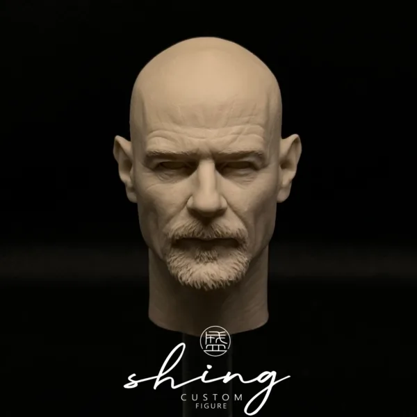 Bryan Cranston - 1/6 Scale Unpainted Action Figure Head Sculpt