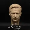 The Homelander - 1/6 Scale Unpainted Action Figure Head Sculpt
