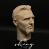 Liam Neeson - 1/6 Scale Unpainted Action Figure Head Sculpt