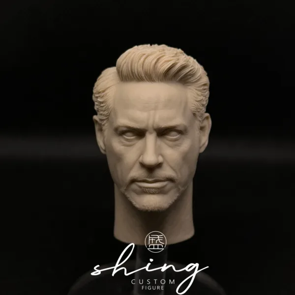 Tony Stark Ironman - 1/6 Scale Unpainted Action Figure Head Sculpt