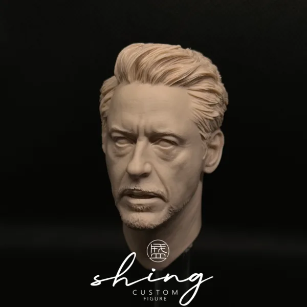 Tony Stark Ironman - 1/6 Scale Unpainted Action Figure Head Sculpt