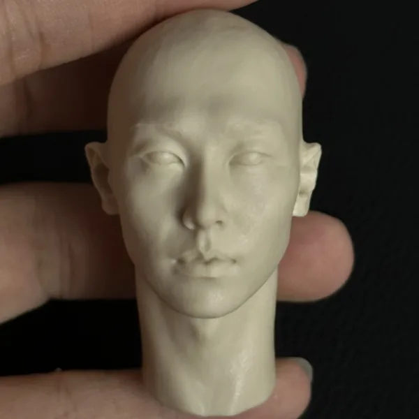 박효신 Park Hyo Shin - 1/6 Scale Unpainted Action Figure Head Sculpt