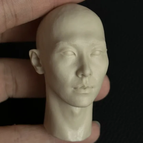 박효신 Park Hyo Shin - 1/6 Scale Unpainted Action Figure Head Sculpt