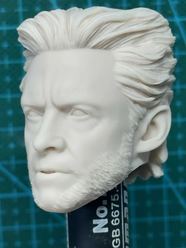 主图_004 Wolverine - 1/6 Scale Unpainted Action Figure Head Sculpt