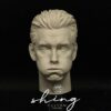 The Homelander - 1/6 Scale Unpainted Action Figure Head Sculpt